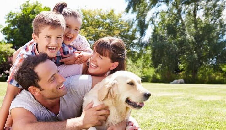 Rob's Dog Training